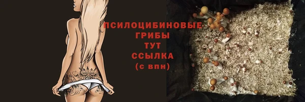 прущая мука Алзамай