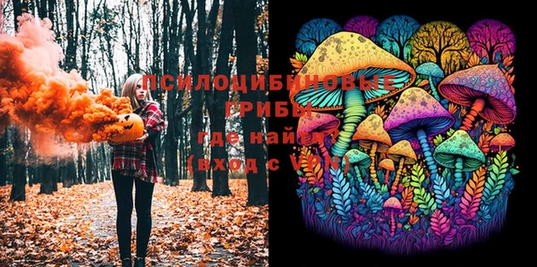 прущая мука Алзамай