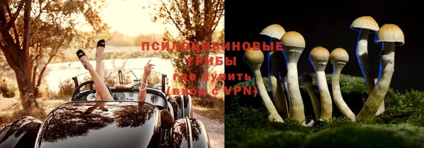 синтетический гашиш Алексин